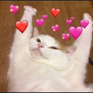 Meet your Posher, Peyton